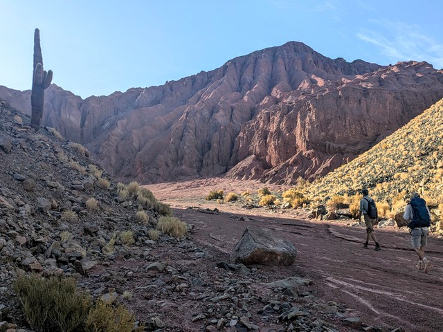 hikers in a colorful red-rock landscape with a lone cardon cactus at the Rainbow Valley in the Atacama