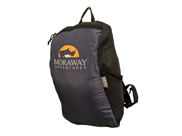 small travel backpack