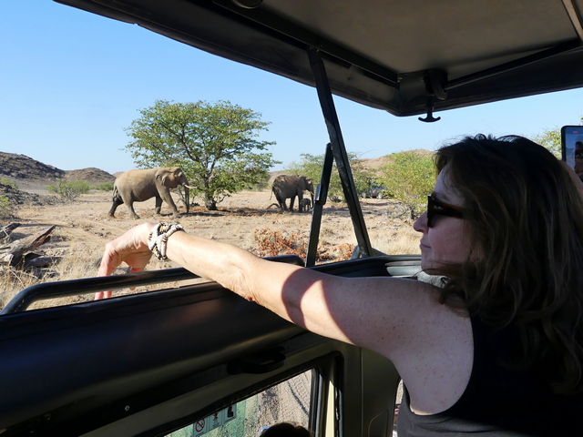 A woman watches desert elephants walking nearby while staying at Onduli Ridge Camp on a luxury safari in Nambia