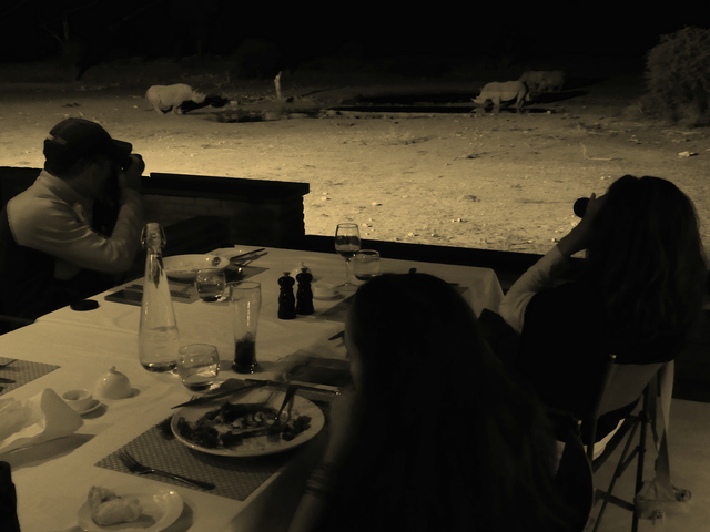 safari guests at Anderson's Camp watch several rhinos visiting the camp's waterhole during dinnertime while on a luxury safari in Ongava Private Reserve Namibia