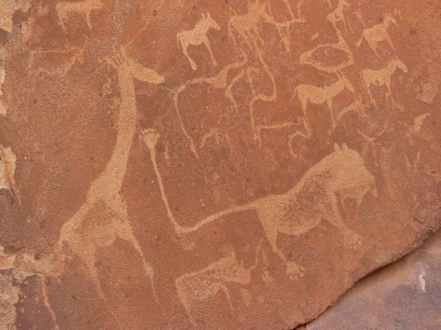 Petroglyphs at Twyfelfontein Namibia showing a giraffe, a lion, and other animals