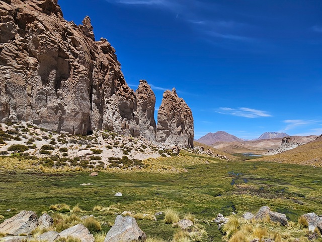 Verdant high-altitude wetlands next to eroded sandstone in the valley of the yardangs on Explora's Travesia