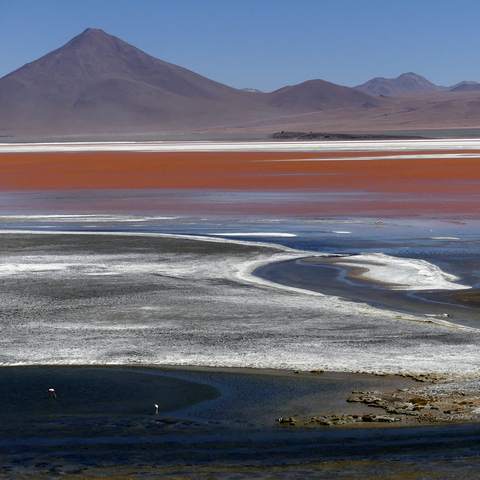 A vast lake with red water and white salt deposits at Laguna Colorado Eduardo Avaroa Reserve