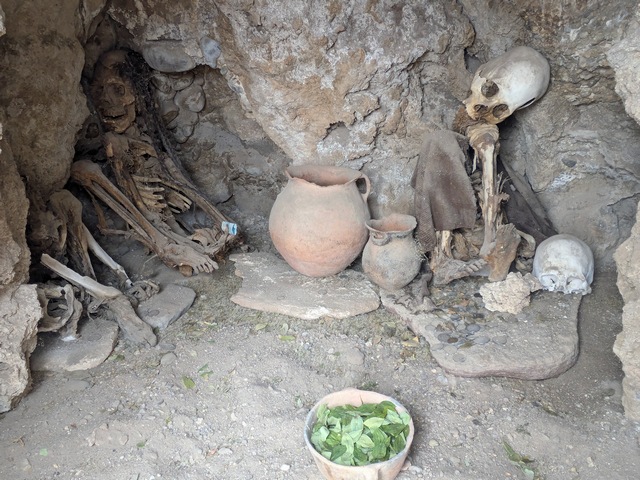 human skeletons in a cave with a bowl of coca leaves left as an offering at pukara ayque ruins