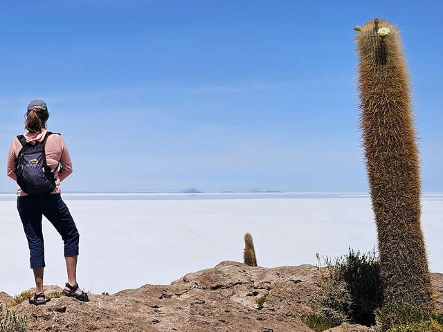 a hiker standing next to a cactus on isla incahuasi, looking out over the vast expanse of the uyuni salt flats