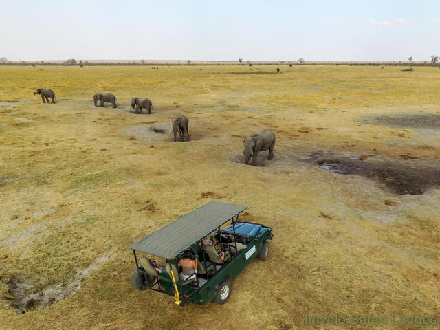 Guests in a luxury safari vehicle watch elephants drinking ground water during a game drive on a luxury safari in Hwange National Park Zimbabwe