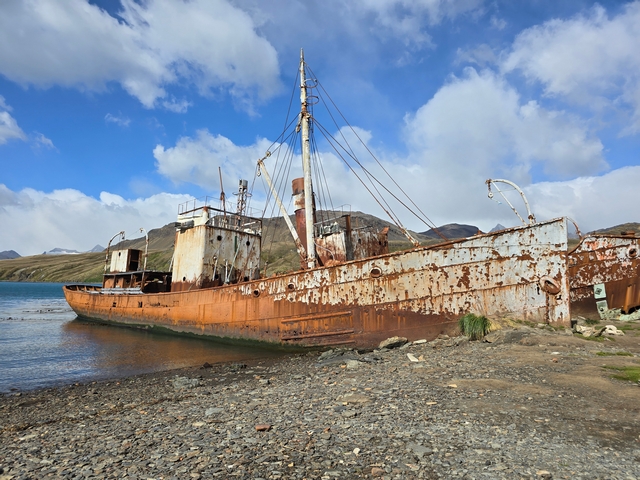 an old whaling ship called the Petrel beached on the shores at Grytviken on South Georgia Island