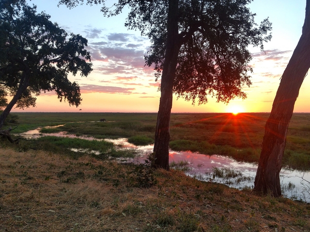 the setting sun touching the horizon of sprawling wetlands at Linyanti Bush Camp
