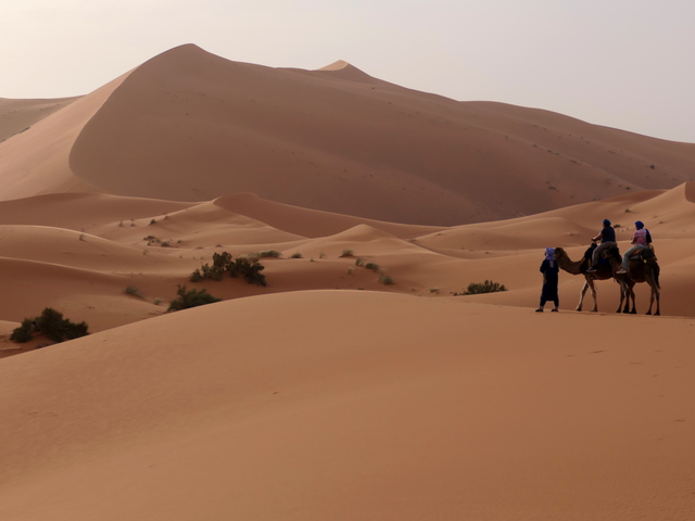 two visitors on a sunset camel ride with their Berber guide, looking out over the vast sand dunes at Erg Chebbi