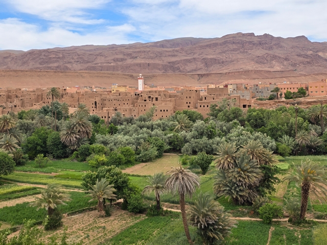 lush green palm trees and irrigated fields backed by the traditional mudbrick and rammed earth homes this region is known for