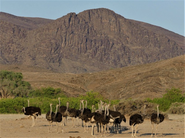 Damaraland002[1]