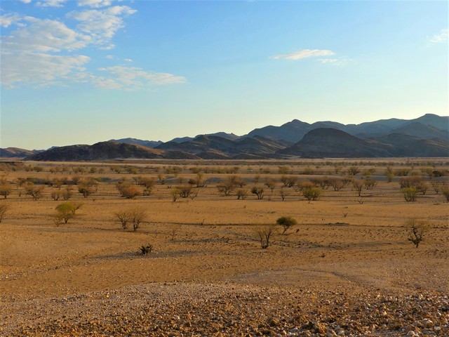 Damaraland005[1]