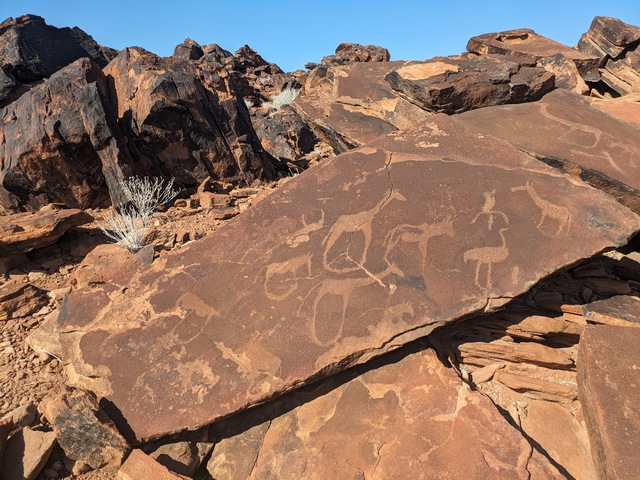 Damaraland009[1]