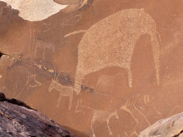 Damaraland011[1]