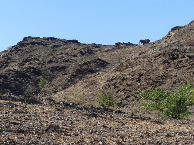 Damaraland014[1]