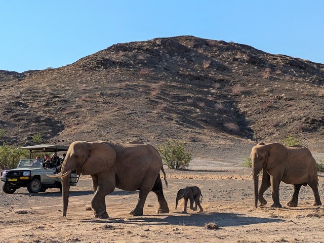 Damaraland015[1]