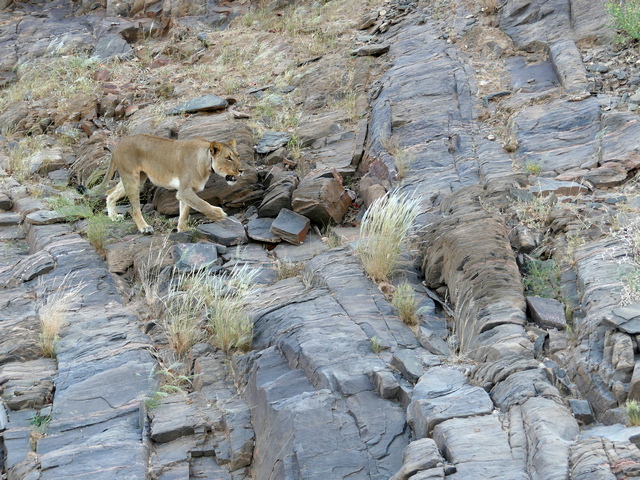 Damaraland016[1]