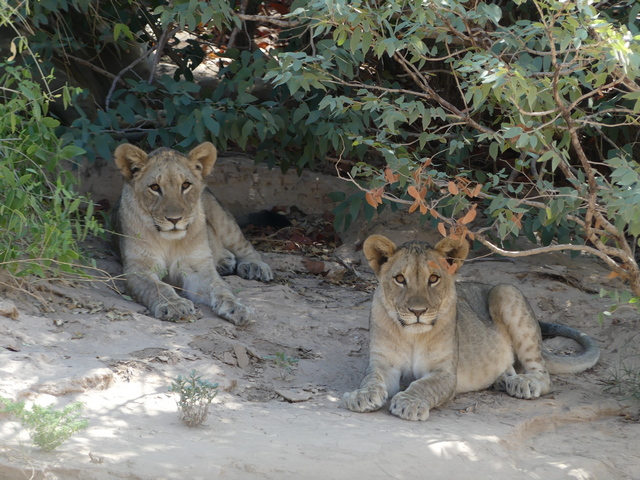 Damaraland017[1]