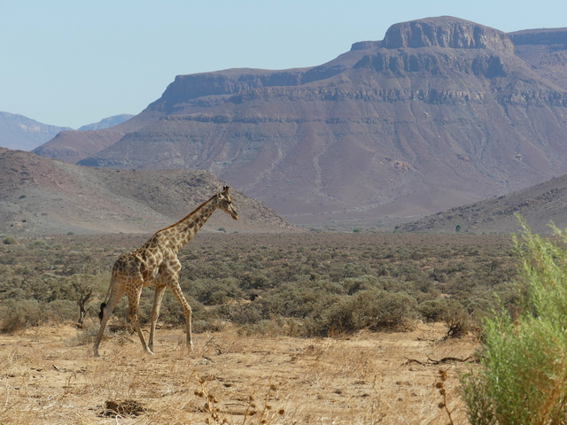 Damaraland019[1]