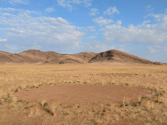 Damaraland024[1]