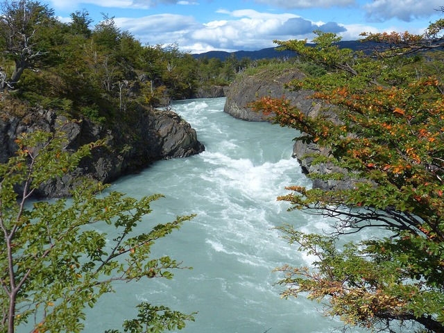 Scenic view of Rio Baker in Chilean Patagonia, featuring turquoise-green water, lenga forest, rocky banks, whitewater rapids, and mountains near Patagonia National Park
