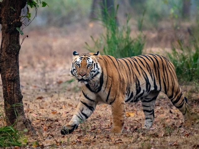 IndiaMyth001[1]