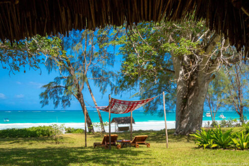 Kenya Bush and Beach Safari