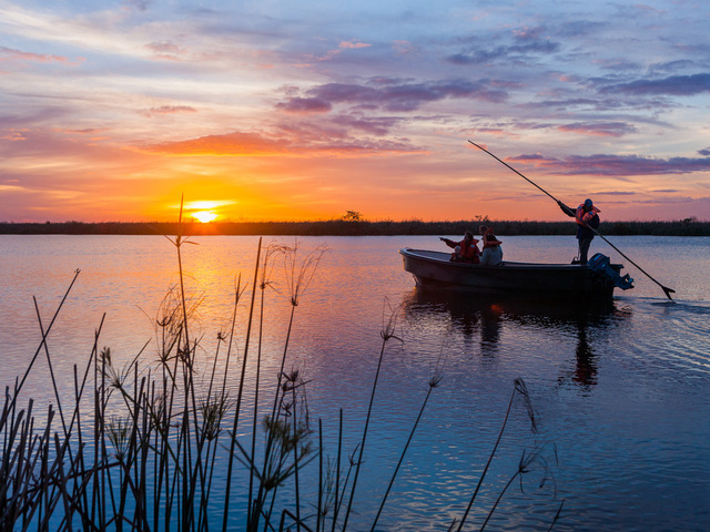 Untamed Argentina
