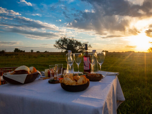 Untamed Argentina