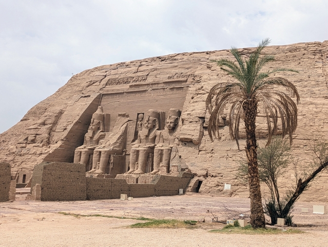 Image of the relocated Temple of Ramesses II at Abu Simbel, Egypt, showing a lone palm tree with the temple facade and four giant seated statues of Ramesses II behind it.