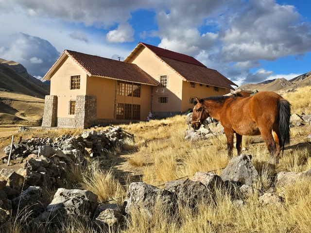A brown horse bathed in afternoon sunlight, with the yellow buildings of Peru's Chillca Lodge in the background.