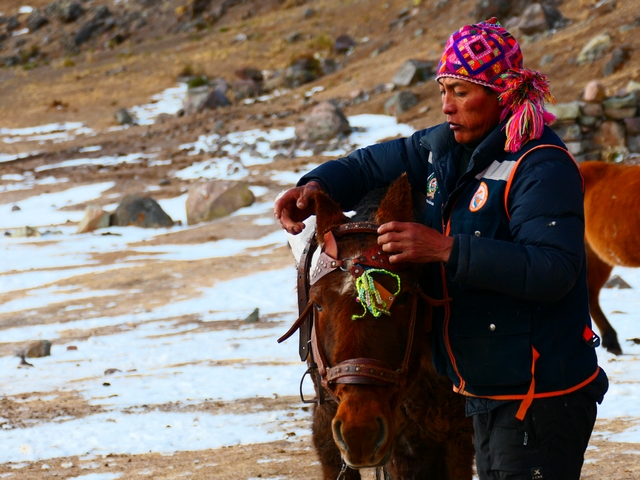 An indigenous Andean man wearing a hand-woven, pink wool hat saddles up a horse near Machuracay Lodge, Ausangate, Peru.