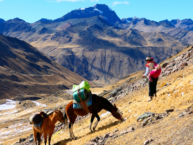 An Andean man in traditional dress leads his two pack horses up a grassy hillside, with stunning rocky mountains of Peru's Vilcanota Range visible beyond.