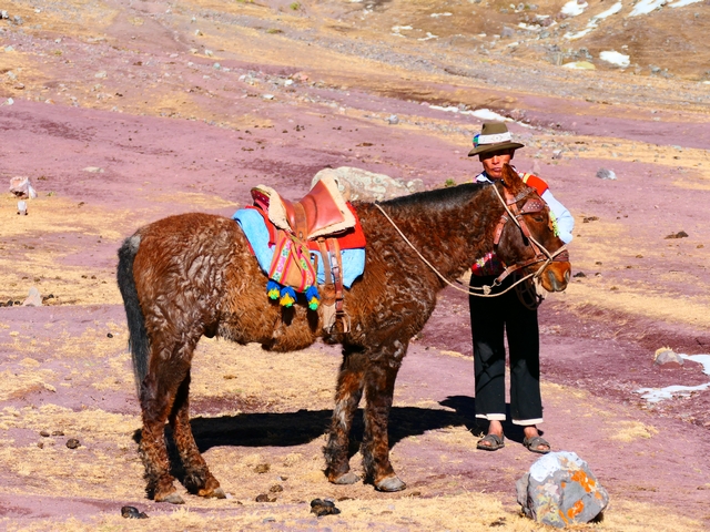 An Andean man in traditional dress stands next to his horse, which bears a beautiful saddle adorned with brightly-colored wool decorations.